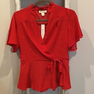 Red Polkadot Blouse